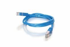 Cordon 30cm Cat5e Cable RJ45 Male-Male pour Dominion SX