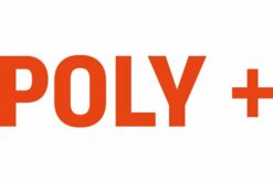 POLY Abonnement Poly Plus, SfB VVX 250 - 1AN