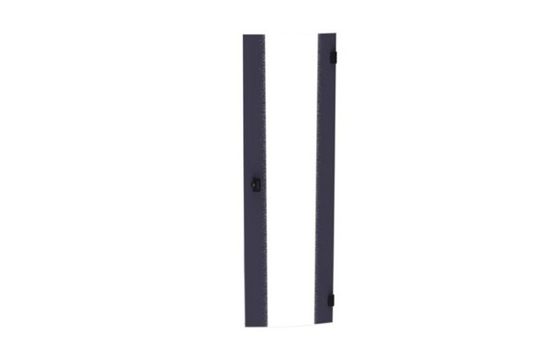Porte pour baie LCS² 42U largeur 600mm complète