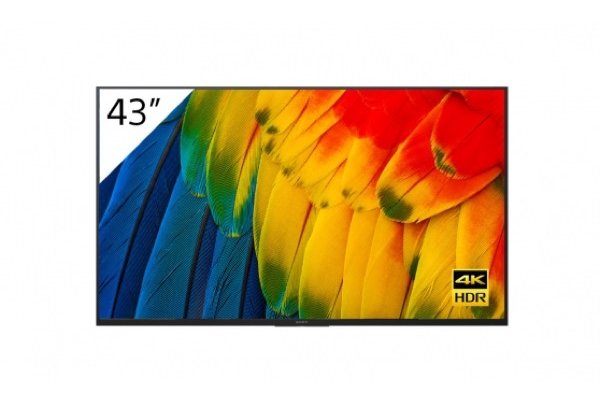 SONY-Téléviseur Professionnel 43" - FWD-43BZ35F/T