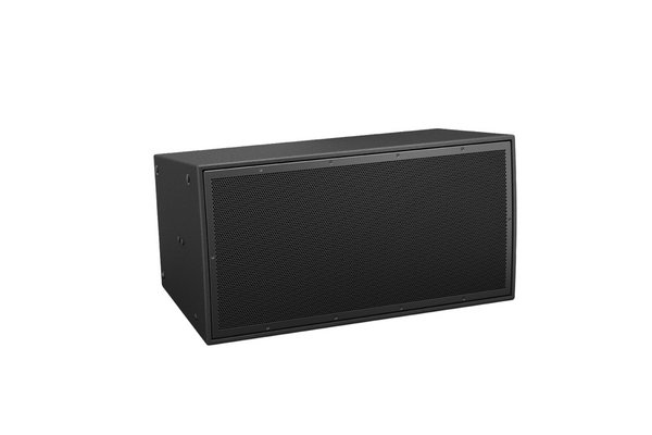 BOSE PRO Enceinte ArenaMatch AM10/80 Noir