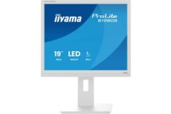 IIYAMA- Ecran bureautique 19" B1980S-W1
