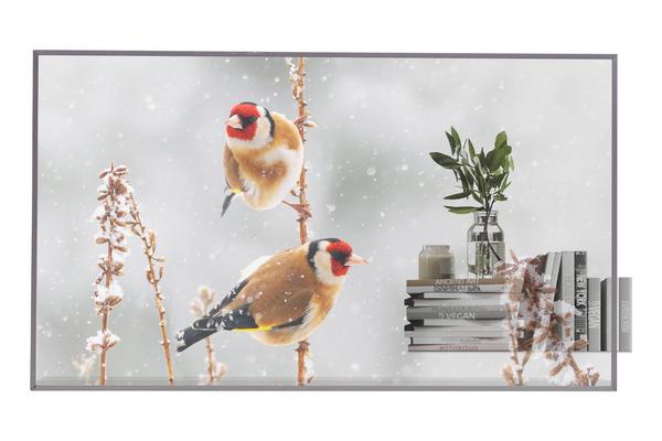 LG - Afficheur professionnel 55 55EW5P-M OLED Transparent