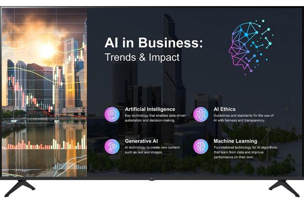 LG- Afficheur professionnel 55" 55PK640S