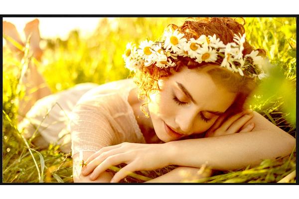 LG- Afficheur professionnel 75" 75UL5Q-E