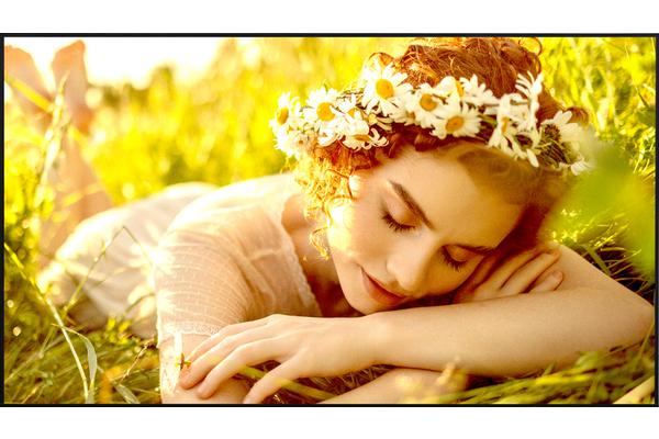 LG- Afficheur professionnel 86" 86UL5Q-E