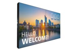 PHILIPS- Afficheur professionnel 55" 55BDL3305X/00