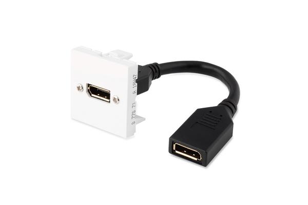 PLASTRON LEGRAND EQUIPE DISPLAYPORT FEMELLE VERS DISPLAYPORT