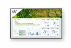 SONY- Afficheur professionnel 43" FW-43BZ30L