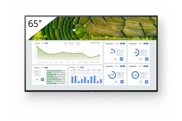SONY- Afficheur professionnel 65" FW-65BZ30L
