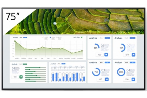 SONY- Afficheur professionnel 75" FW-75BZ30L