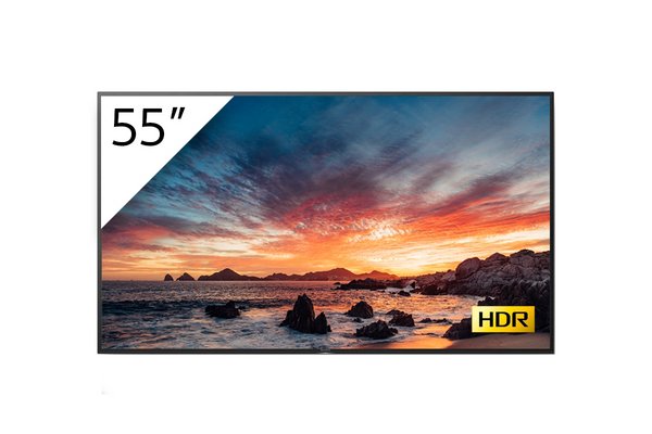 SONY- Téléviseur professionnel 55" FWD-55X80H/T