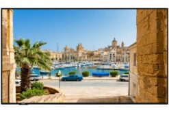 VESTEL- Afficheur professionnel 43" PN43D-4HH