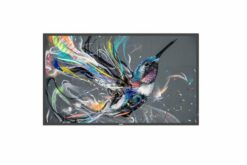 PHILIPS- Afficheur professionnel 43" 43BDL3511Q/00