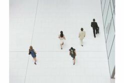 BOSCH BVMS Professional 8.0, License/ MBV-BPRO-80