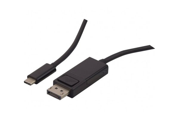 Cordon USB 3.2 Type C vers DisplayPort 1.2 -1m