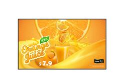 LG - Afficheur professionnel 43" UHD 43UH5Q-E