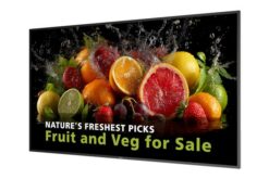 PHILIPS- Afficheur professionnel 98" 98BDL5050D/00