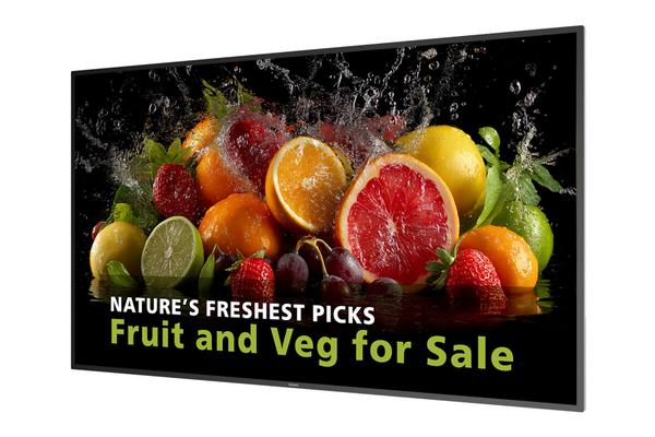 PHILIPS- Afficheur professionnel 98" 98BDL5050D/00