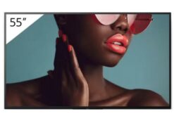 SONY- Afficheur professionnel 55" FW-55BZ40L