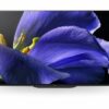 Sony téléviseur professionnel 65"  OLED 4K UHD