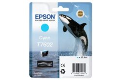 Cartouche EPSON C13T76024010 - Cyan
