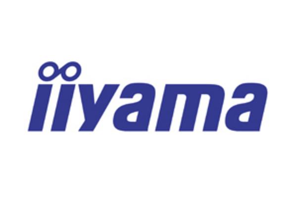 IIYAMA- Ecran bureautique incurvé 49" XCB4994DQSU-B1