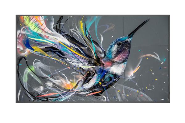 PHILIPS- Afficheur professionnel 65" 65BDL3511Q/02