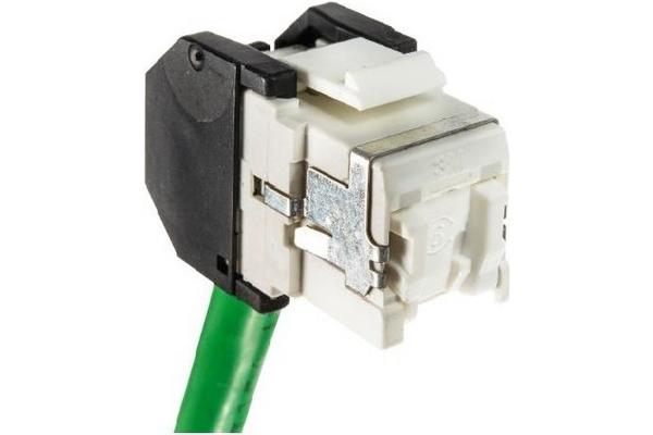 Connecteur RJ45 blindé Cat6 sans outil, lot de 8