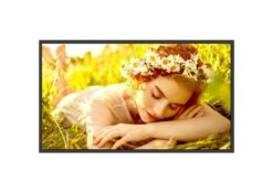 LG- Afficheur professionnel 32" UHD 32UL5Q-E