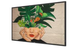 PHILIPS- Afficheur professionnel 43" 43BDL4511D/00