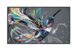 PHILIPS- Afficheur professionnel 75" 75BDL3511Q/00