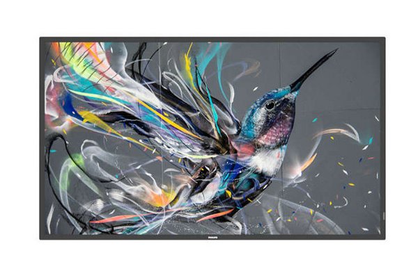 PHILIPS- Afficheur professionnel 75" 75BDL3511Q/00