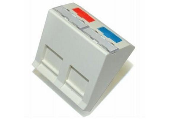 Plastron Netconnect double 45x45 sortie inclinée à volet, blanc