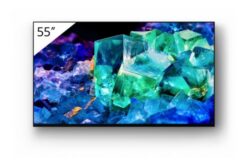 SONY- Téléviseur professionnel 55" avec caméra FWD-55A95K